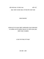 ĐÁNH GIÁ tác DỤNG điều CHỈNH rối LOẠN LIPID máu và CHỐNG xơ vữa ĐỘNG MẠCH của VIÊN NANG HSN TRÊN THỰC NGHIỆM 
