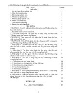 SKKN một số biện pháp chỉ đạo giáo dục kĩ năng sống cho học sinh tiểu học 