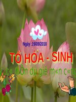 Bài 5  thực hành ôn một số mũi khâu cơ bản 