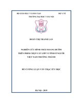 NGHIÊN cứu HÌNH THÁI XOANG bướm  TRÊN PHIM CHỤP cắt lớp VI TÍNH ở NGƯỜI VIỆT NAM TRƯỞNG THÀNH 