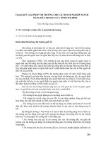 GIẢI PHÁP THỊ TRƯỜNG CHO CÁC DOANH NGHIỆP NGÀNH HÀNG MÂY TRE ĐAN CỦA TỈNH THÁI BÌNH