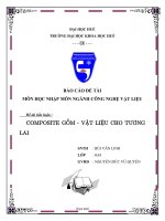 Tiểu luận môn học nhập môn ngành công nghệ vật liệu composite gốm   vật liệu cho tương lai 