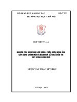 NGHIÊN cứu HÌNH THÁI lâm SÀNG, CHẨN đoán HÌNH ẢNH gãy XƯƠNG CHÍNH mũi và ĐÁNH GIÁ kết QUẢ điều TRỊ gãy XƯƠNG CHÍNH mũi 