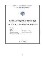 báo cáo thực tập Công ty xây dựng Tam giác