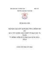NGHIÊN cứu kết QUẢ điều TRỊ ở BỆNH NHÂN đa u tủy XƯƠNG SAU GHÉP tế bào gốc tự THÂN tại BỆNH VIỆN BẠCH MAI GIAI đoạn 2012 2019 