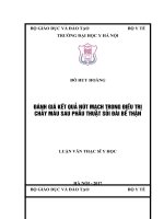 ĐÁNH GIÁ kết QUẢ nút MẠCH TRONG điều TRỊ CHẢY máu SAU PHẪU THUẬT sỏi đài bể THẬN 