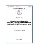 VAI TRÒ của SIÊU âm nội SOI TRONG CHẨN đoán  và điều TRỊ UNG THƯ BIỂU mô tụy tại BỆNH VIỆN VIỆT đức GIAI đoạn 2014   2018 