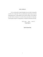 Luận Án Tiến Sĩ Hóa Hữu Cơ: Nghiên cứu tổng hợp vật liệu trên cơ sở gốc polyanilin định hướng ứng dụng hấp phụ DDT chiết tách từ đất ô nhiễm