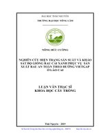 Nghiên cứu hiện trạng sản suất và khảo sát bộ giống rau cải xanh phục vụ sản xuất rau an toàn theo hướng Vietgap ở Lào Cai (Luận văn thạc sĩ)