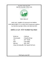 Bước đầu nghiên cứu bảo quản gỗ thông bằng dịch chiết từ lá long não (cinnamomum camphora ) tại trường đại học nông lâm thái nguyên 