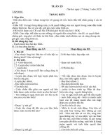 Tuần 25 đến tuần 29