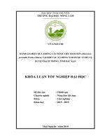 Đánh giá hiệu quả trồng cây dược liệu hoài sơn (dioscorea persimilis prain et burk ) tại hợp tác xã đông nam dược xã hà vị, huyện bạch thông, tỉnh bắc kạn 