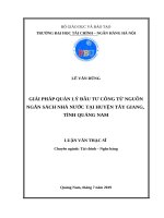 Giải pháp quản lý đầu tư công từ nguồn ngân sách nhà nước tại huyện tây giang, tỉnh quảng nam 
