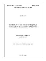 Tóm tắt luận án Tiến sĩ luật học: Pháp luật về bồi thường thiệt hại trong quan hệ lao động ở Việt Nam