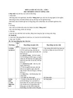 Giáo án chi tiết LTVC MRVT dũng cảm lớp 4