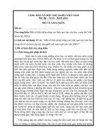 SKKN một số biện pháp nâng cao hiệu quả dạy văn học trung đại việt nam cấp THCS  