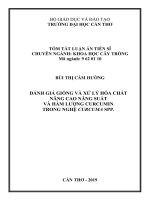 Tóm tắt luận án Đánh giá giống và xử lý hóa chất nâng cao năng suất và hàm lượng curcumin trong nghệ Curcuma spp.