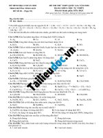 28  đề 28 (ngọc 01)   theo đề MH lần 2 image marked 