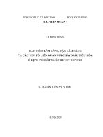 Luận án Tiến sĩ Y học: Đặc điểm lâm sàng, cận lâm sàng và các yếu tố liên quan với chảy máu tiêu hóa ở bệnh nhi sốt xuất huyết Dengue