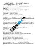 24  đề 24 (theo đề minh họa lần 2) image marked 