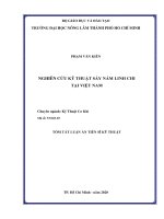 Tóm tắt luận án NGHIÊN CỨU KỸ THUẬT SẤY NẤM LINH CHI TẠI VIỆT NAM