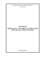 KẾ HOẠCH PHÒNG NGỪA, ỨNG PHÓ SỰ CỐ HÓA CHẤT TRÊN ĐỊA BÀN TỈNH VĨNH PHÚC