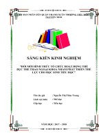 Đổi mới hình thức tổ chức hoạt động thể dục thể thao ngoại khoá nhằm phát triển thể lực cho học sinh tiểu học 