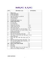 SKKN biện pháp nâng cao chất lượng chuyên môn cho đội ngũ giáo viên trong trường mẫu giáo hoa ban 