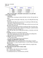 CHỦ đề đa DẠNG của lớp THÚ THEO CHƯƠNG TRÌNH GIẢM tải của bộ CHUẨN KTKN sẵn IN