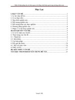 SKKN một số biện pháp cho trẻ làm quen với tiếng anh hiệu quả trong trường mầm non 