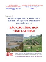 ĐỀ ÁN ỔN ĐỊNH DÂN CƯ, PHÁT TRIỂN KINH TẾ - XÃ HỘI VÙNG TÁI ĐỊNH CƯ THỦY ĐIỆN SƠN LA