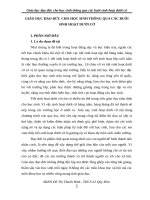 Giáo dục đạo đức cho học sinh thông qua các buổi sinh hoạt dưới cờ 