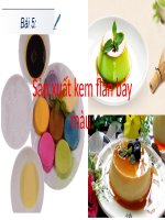 BÁO CÁO THỰC HÀNH SẢN XUẤT KEM FLAN 7 MÀU