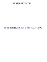 43 đề thi học sinh giỏi toán lớp 3 có đáp án