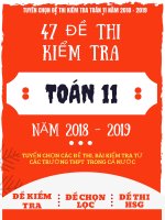 47 đề thi kiểm tra toán 11 năm 2018, 2019 tuyển chọn từ các trường trong cả nước