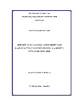 Giải pháp nâng cao chất lượng dịch vụ bán hàng của công ty cổ phần thương mại dịch vụ công nghệ chân trời 