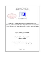 Nghiên cứu dự báo biến đổi đường bờ biển duyên hải tỉnh trà vinh sau khi xây dựng đê chắn sóng dự án cảng biển trung tâm điện lực duyên hải và đề xuất giải pháp bảo vệ bờ 