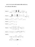 Đáp án ngân hàng đề thi học phần Giải tích 1