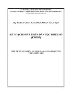 DỰ ÁN SỬA CHỮA VÀ NÂNG CAO AN TOÀN ĐẬP KẾ HOẠCH PHÁT TRIỂN DÂN TỘC THIỂU SỐ (EMDP) TIỂU DỰ ÁN: SỬA CHỮA VÀ NÂNG CAO AN TOÀN ĐẬP TỈNH THỪA THIÊN HUẾ