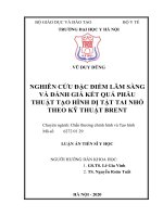 Nghiên cứu đặc điểm lâm sàng và đánh giá kết quả phẫu thuật tạo hình dị tật tai nhỏ theo kỹ thuật Brent (full text)