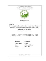 Áp dụng quy trình chăm sóc nuôi dưỡng và phòng trị bệnh cho lợn thịt nuôi tại trại minh châu, hạ long, quảng ninh 