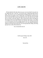 Tieu luan taohinhdungcu