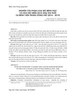 Nghiên cứu phân loại mô bệnh học và hóa mô miễn dịch ung thư phổi tại Bệnh viện Trung ương Huế (2016-2019)