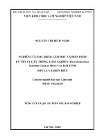Nghiên cứu đặc điểm lâm học và biện pháp kỹ thuật gây trồng loài nghiến (burretiodendron hsienmu chun et how) tại hai tỉnh sơn la và điện biên tt 