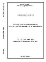 Ứng dụng máy vectơ hỗ trợ trong phân tích mẫu và chẩn đoán bệnh trên cây xoài 