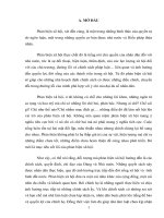 Tiểu luận cao học, giải pháp cho sự phát triển bền vững ở việt nam