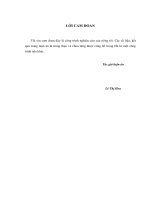 Nghiên cứu tổng hợp, cấu trúc và chuyển hóa một số dãy hợp chất furoxan, quinoline và quinazoline nhiều nhóm thế từ eugenol trong tinh dầu hương nhu 