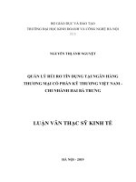 Luận văn thạc sỹ - Quản lý rủi ro tín dụng tại Ngân hàng TMCP kỹ thương Việt Nam - Chi nhánh Hai Bà Trưng