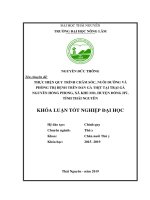 Thực hiện quy trình chăm sóc, nuôi dưỡng và phòng trị bệnh trên đàn gà thịt nuôi tại trại gà nguyễn hồng phong, xã khe mo, huyện đồng hỷ, tỉnhthái nguyên 