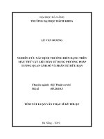 Nghiên cứu, xác định trường biến dạng trên mẫu thử vật liệu hàn sử dụng phương pháp tương quan ảnh số và phần tử hữu hạn